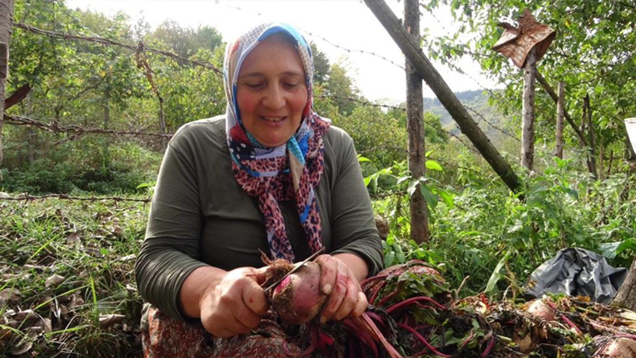 Karadenizli kadınlar geleneksel yöntemlerle kışlık yiyeceklerini hazırlıyor