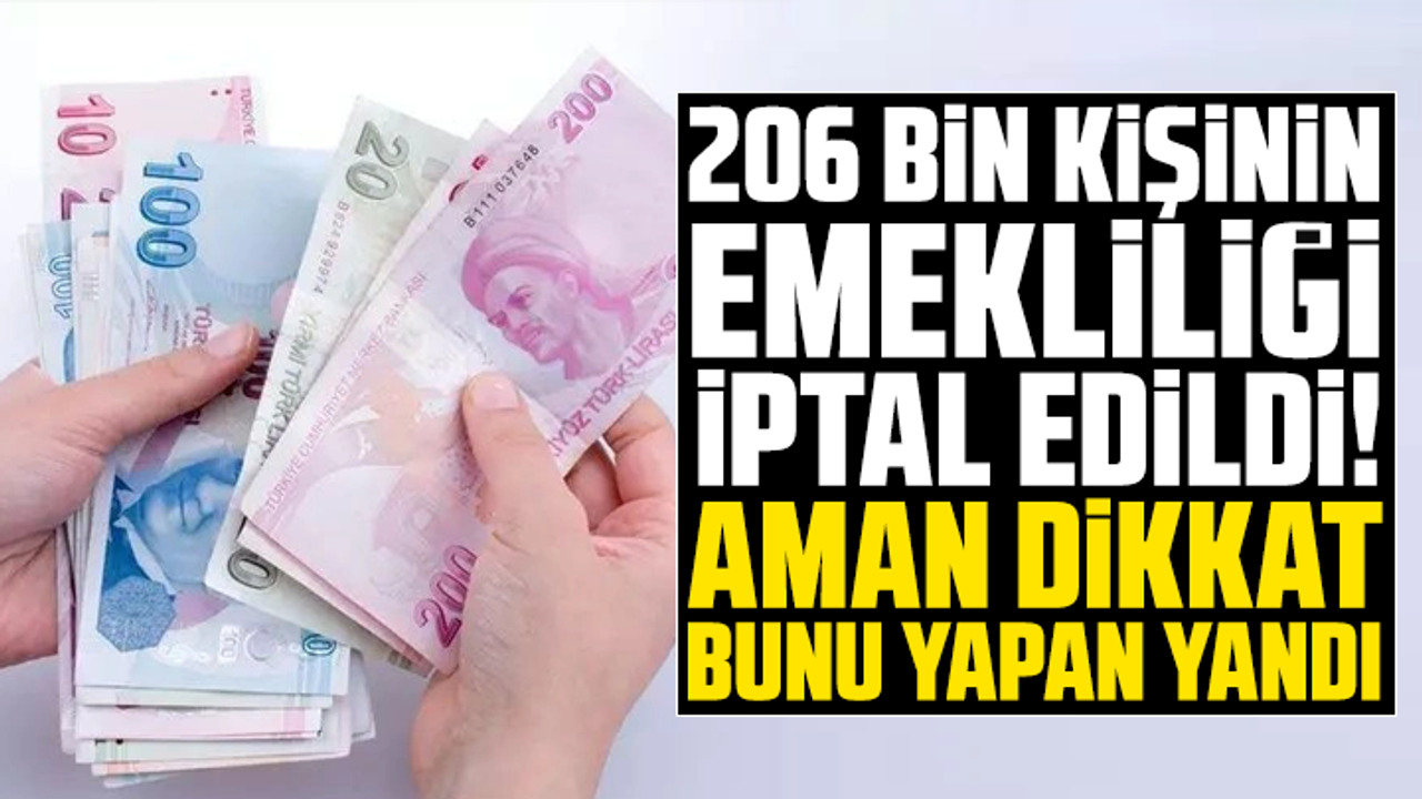 206 bin kişinin emekliliği iptal edildi! Aman dikkat bunu yapan yandı
