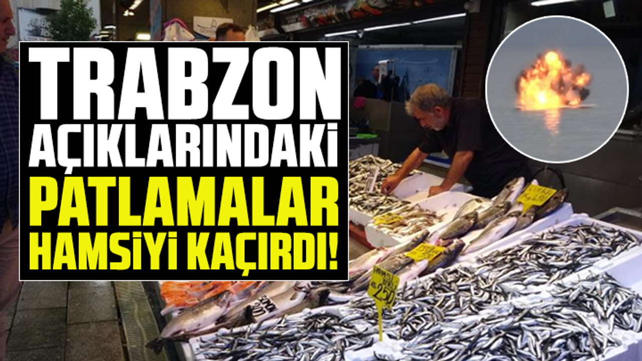 Trabzon Açıklarındaki Patlamalar Hamsiyi Kaçırdı!