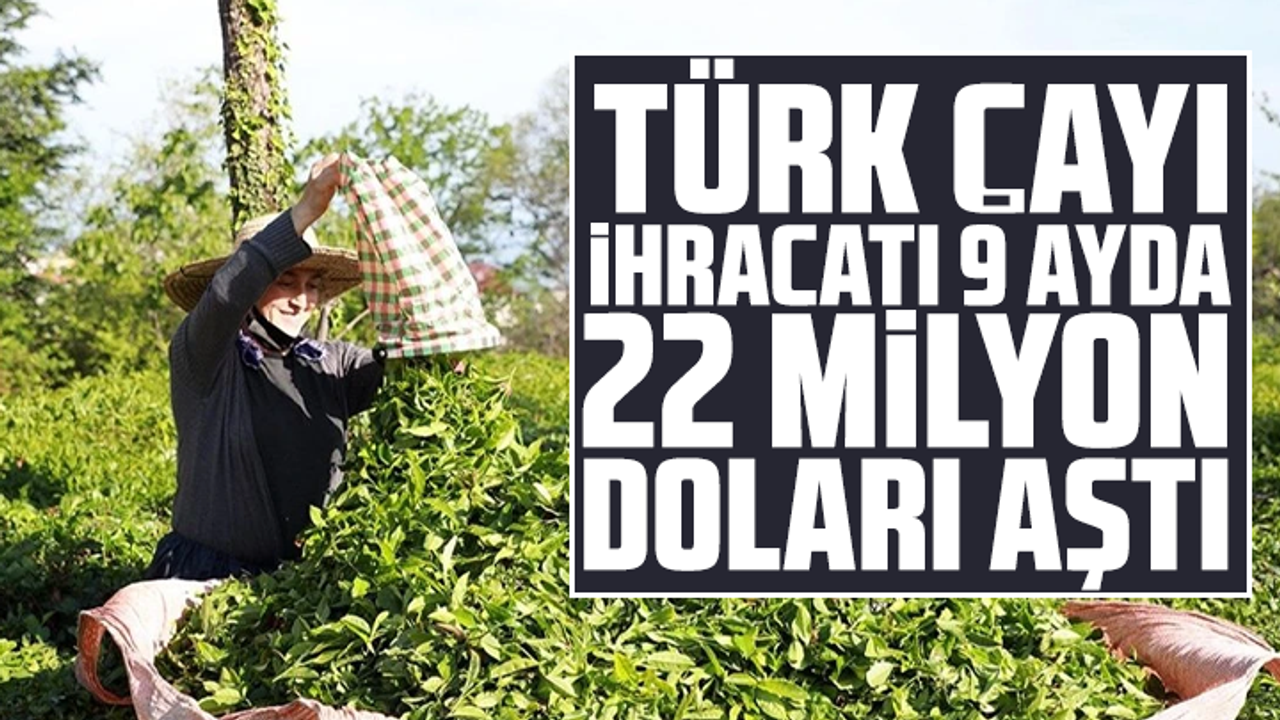 Türk çayı ihracatı 9 ayda 22 milyon doları aştı
