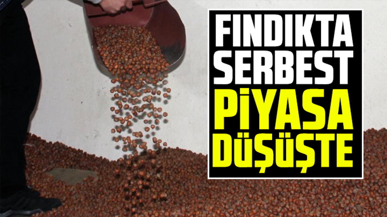 Fındıkta serbest piyasa düşüşte
