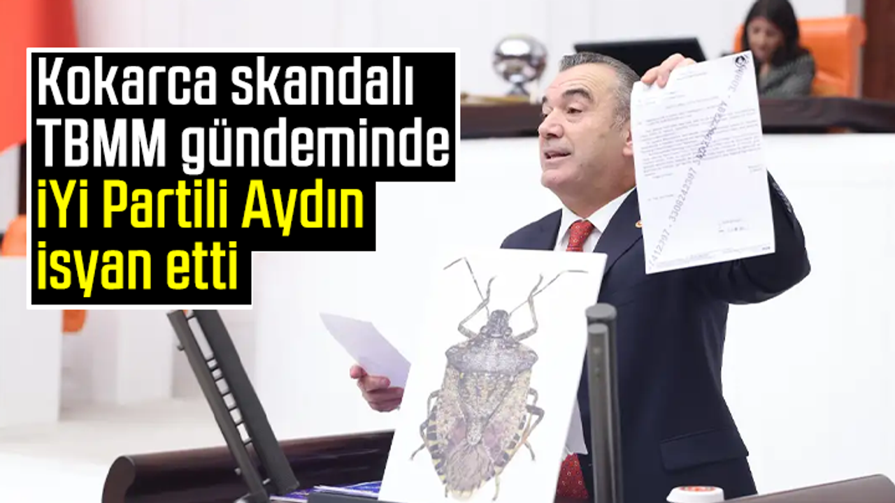 Kokarca skandalı TBMM gündeminde: İYİ Partili Aydın isyan etti