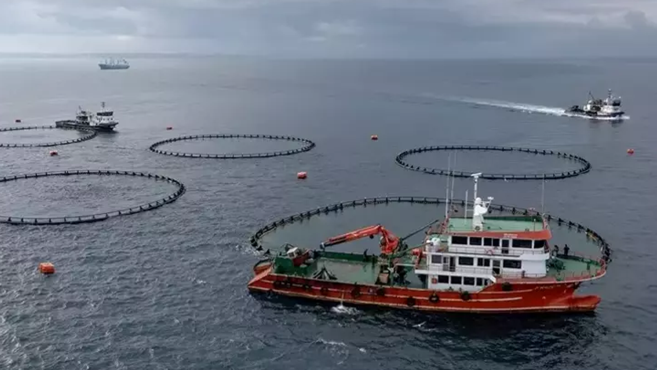 Karadeniz su ürünleri ihracatından 9 ayda 278,7 milyon dolarlık kazanç