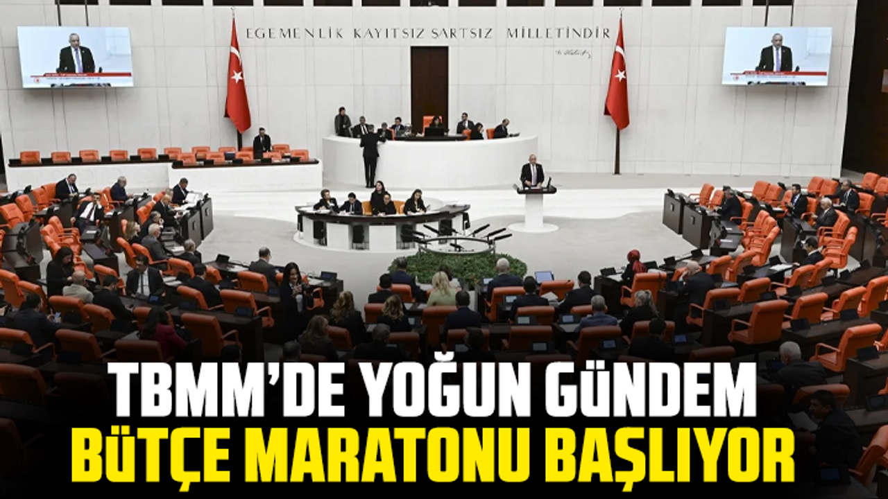 TBMM’de yoğun hafta: Komisyon toplantıları ve bütçe görüşmeleri gündemde