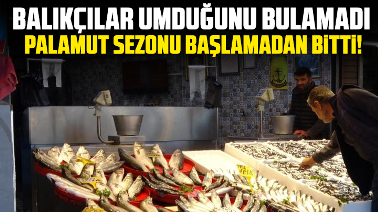 Balıkçılar umduğunu bulamadı: Palamut sezonu başlamadan bitti!