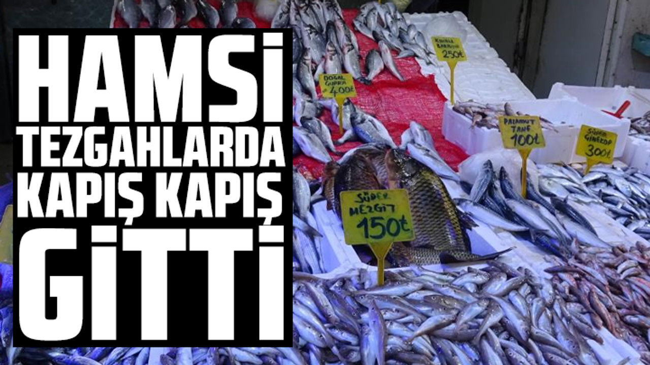 Hamsi Tezgahlarda kapış kapış gitti