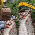 Rize'de iş makinesiyle 'çay taşıma operasyonu'