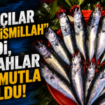 Balıkçılar "Vira Bismillah" dedi, tezgahlar palamutla doldu