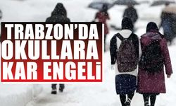 Trabzon'da dört ilçede eğitime kar tatili