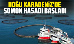 Doğu Karadeniz'de somon hasadı başladı