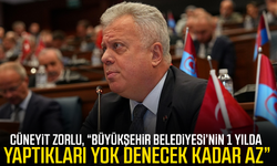 Cüneyit Zorlu, “Büyükşehir Belediyesi’nin 1 yılda yaptıkları yok denecek kadar az”