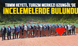 TBMM heyeti, turizm merkezi Uzungöl'de incelemelerde bulundu