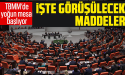 TBMM'de yoğun mesai başlıyor! İşte görüşülecek maddeler