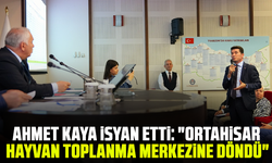 Ahmet Kaya isyan etti: "Ortahisar hayvan toplanma merkezine döndü"