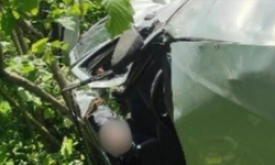 Giresun'da otomobil fındık bahçesine devrildi: 1 ölü, 3 yaralı
