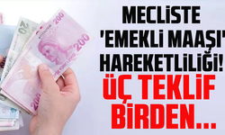 Mecliste 'emekli maaşı' hareketliliği! Üç teklif birden...