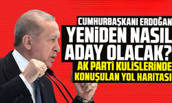 Erdoğan yeniden nasıl aday olacak? AK Parti kulislerinde konuşulan yol haritası