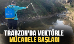 Trabzon'da sıcaklar başlamadan vektörle mücadele başladı