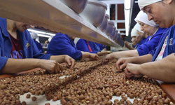 Fındık ihracatından 852 milyon doları aşkın gelir