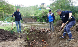 Giresun'da balık atıkları gübre ve yeme dönüşüyor