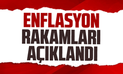 Mayıs ayı enflasyon rakamları açıklandı