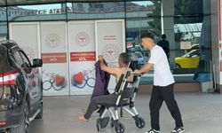 Trabzon'da 118 'acemi kasap' hastanelik oldu