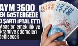 AYM 3600 ek göstergede o şartı iptal etti: Maaşlar, emeklilik ve ikramiye ödemeleri değişecek