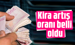 TÜİK enflasyon verilerini açıkladı: Kira artış oranı belli oldu