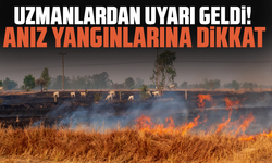 Uzmanlardan uyarı geldi! Anız yangınlarına dikkat