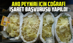 Aho peyniri için coğrafi işaret başvurusu yapıldı