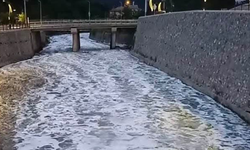 Giresun'da Aksu Deresi’nde kimyasal atık şüphesi