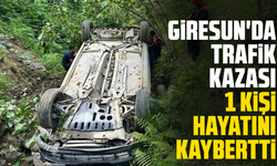Giresun'da trafik kazası: 1 kişi hayatını kaybetti