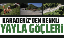 Karadeniz'den renkli yayla göçleri