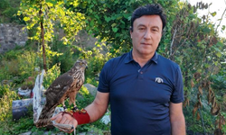 Asırlık atmaca geleneği Artvin'de yaşatılıyor