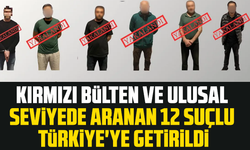 Kırmızı bülten ve ulusal seviyede aranan 12 suçlu Türkiye'ye getirildi