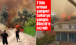 7 ilde orman yangını! Sakarya yangını Bilecik'e sıçradı