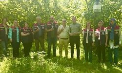 Kahverengi kokarcaya karşı 50 bin adet samuray doğaya salındı