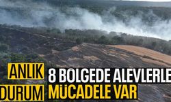 Türkiye alevler içinde! İşte orman yangınlarında son durum
