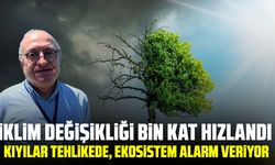 İklim değişikliği bin kat hızlandı: Kıyılar tehlikede, ekosistem alarm veriyor