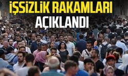 TÜİK duyurdu! İşsizlik rakamları belli oldu