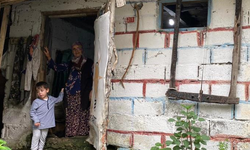 Artvin'de ayı saldırısı: Köylülerin müdahalesiyle inek kurtarıldı