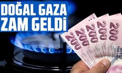 EPDK duyurdu: Doğalgaza yüzde 24,6 zam geldi