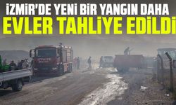 İzmir'de yeni bir yangın daha: Evler tahliye edildi