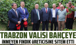 Trabzon Valisi bahçeye inmeyen fındık üreticisine sitem etti