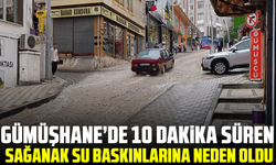 Gümüşhane’de 10 dakika süren sağanak su baskınlarına neden oldu