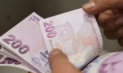 Temmuz ayı Sosyal ve Ekonomik Destek ödemeleri hesaplara yatırıldı