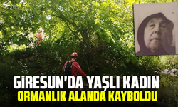 Giresun'da yaşlı kadın ormanlık alanda kayboldu