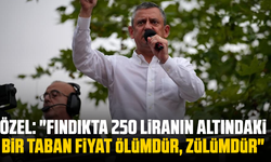 Özel: "Fındıkta 250 liranın altındaki bir taban fiyat ölümdür, zülümdür"