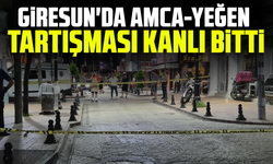 Giresun'da Amca-Yeğen Tartışması Kanlı Bitti