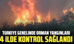 Türkiye genelinde orman yangınları: 4 ilde kontrol sağlandı